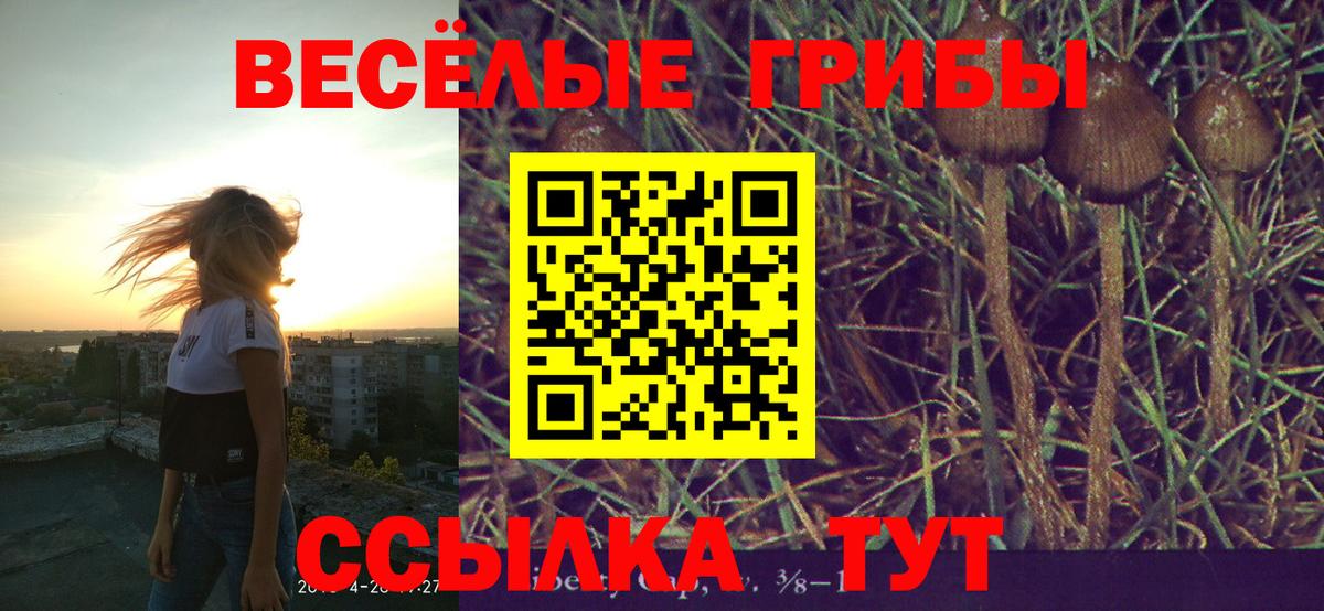 Касимов  как найти закладки  Вход с VPN  Галлюциногенные грибы мицелий 